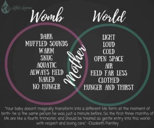 fourth trimester