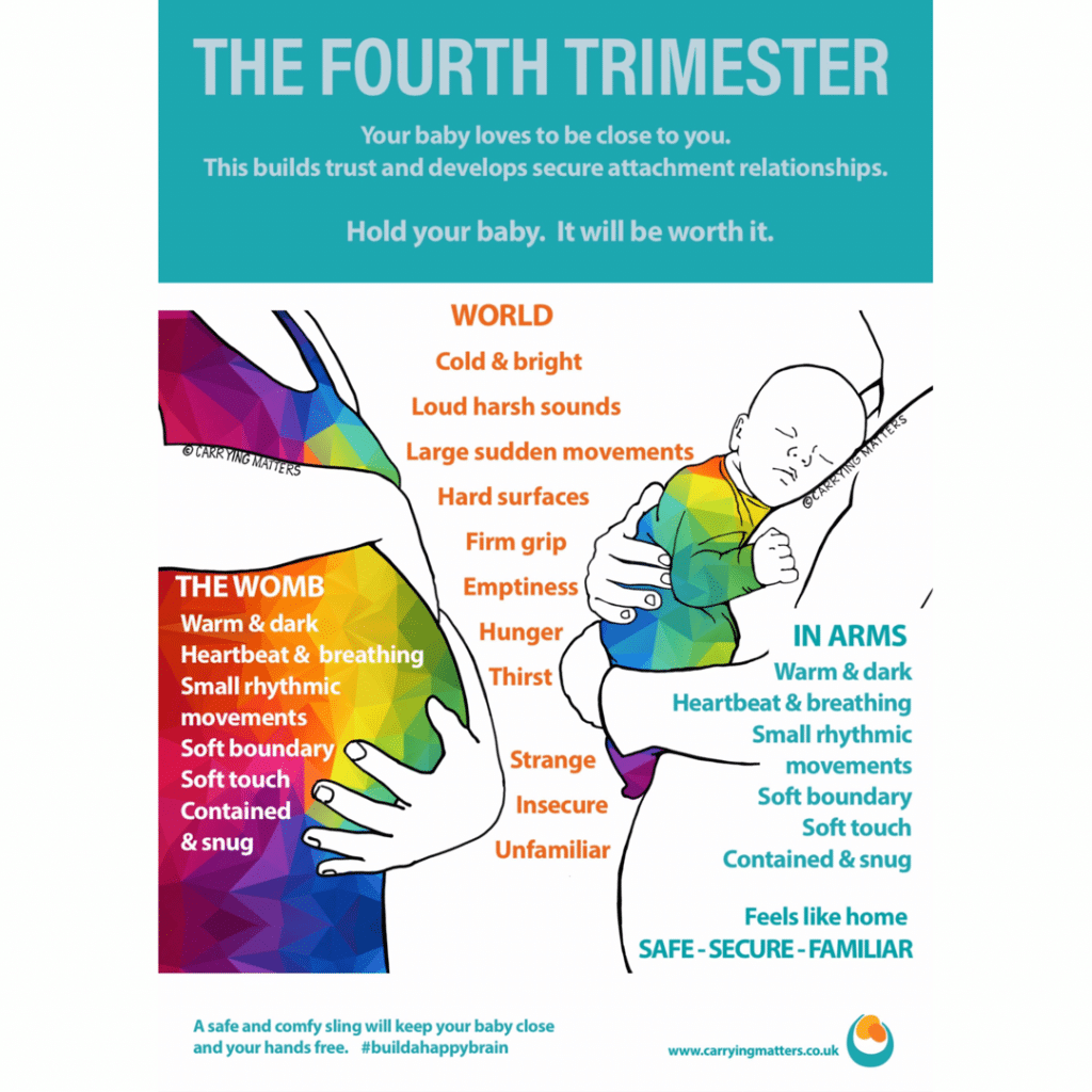 4th Trimester Poster
