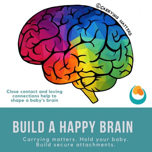 educational resources build a happy brain rainbow brain carrying matters