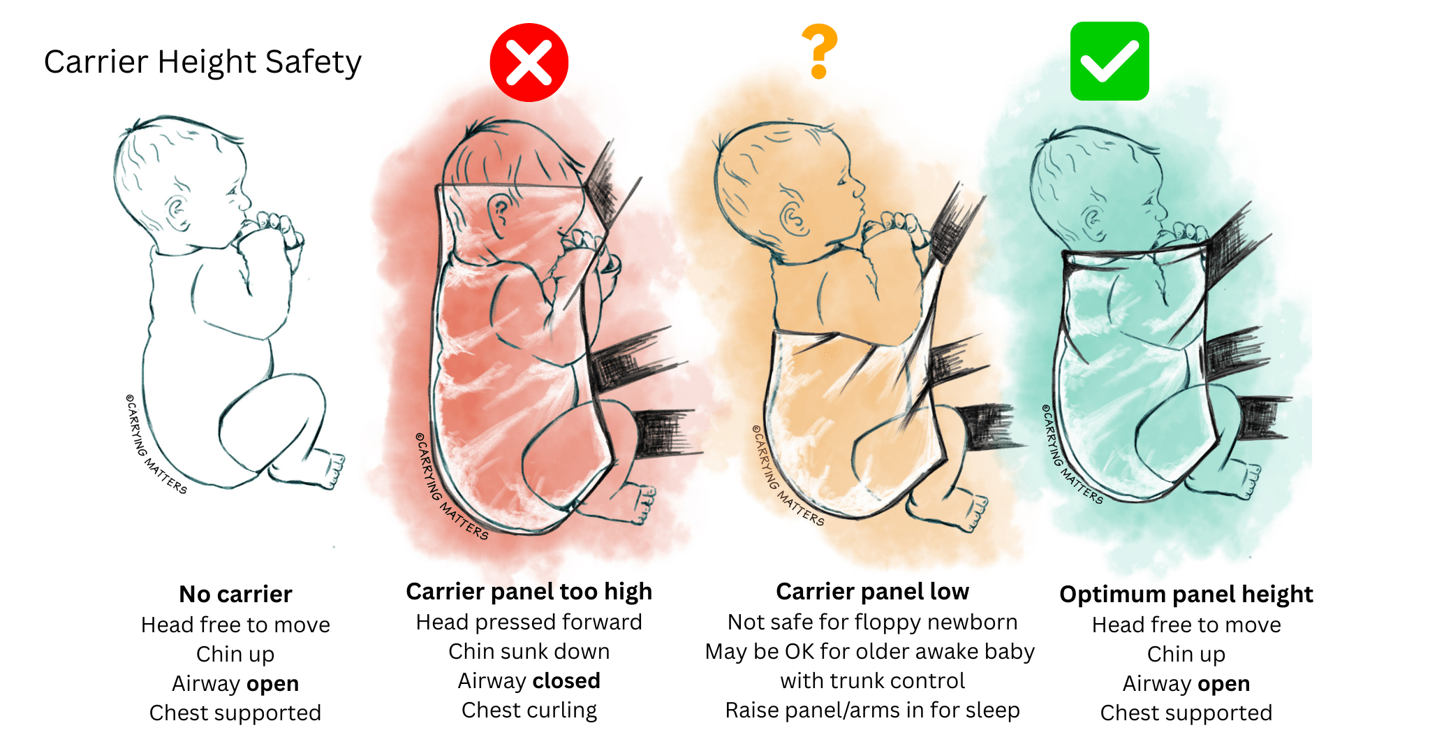 traffic light carrier height 4 babies